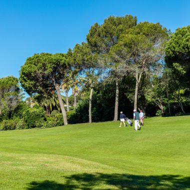 © Robert Palomba Photographe / Mona Lisa, Var (83) Domaine du Golf de l'Estérel