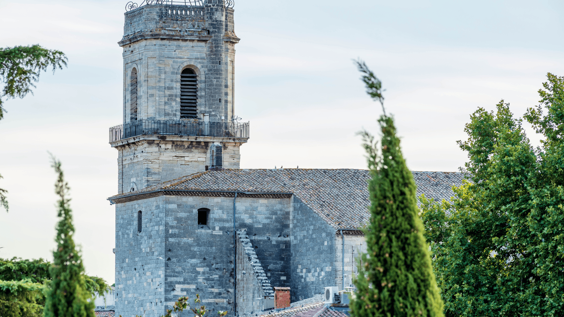 moliere et sa culture vivante pezenas